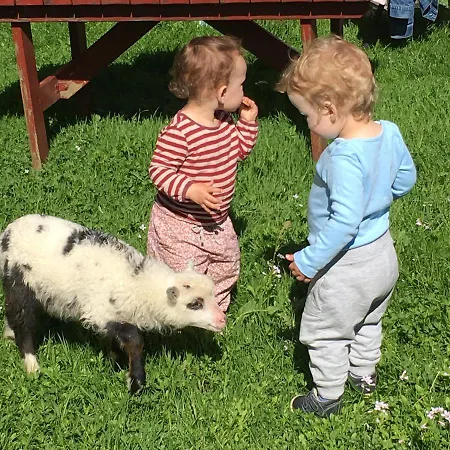 Gospodarstwo agroturystyczne Skjerping Gard Lonevåg