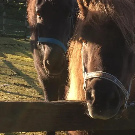 Skjerping Gard 农家乐