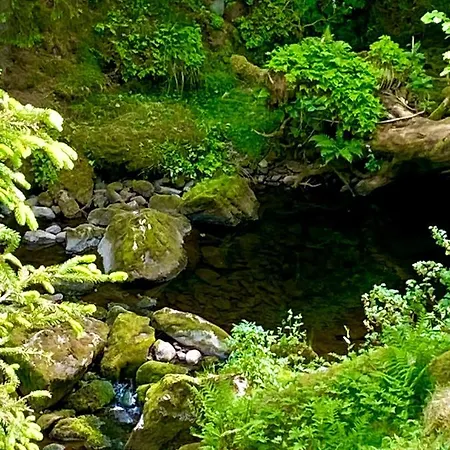 Skjerping Gård Feriegårder Lonevåg