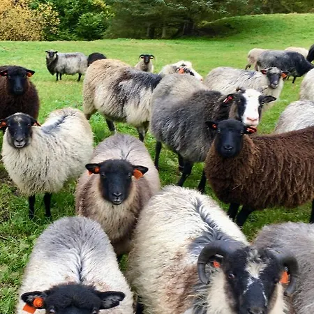 Gospodarstwo agroturystyczne Skjerping Gard *