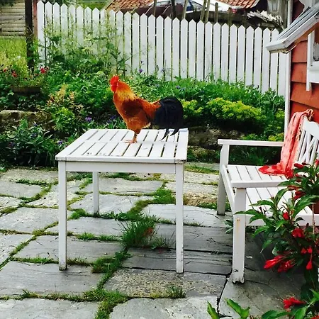 Skjerping Gard 农家乐