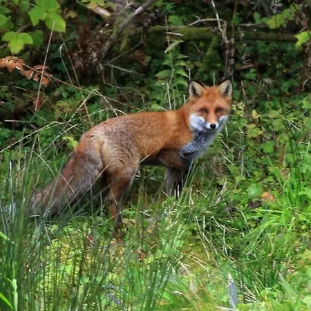 Skjerping Gard Gospodarstwo agroturystyczne *