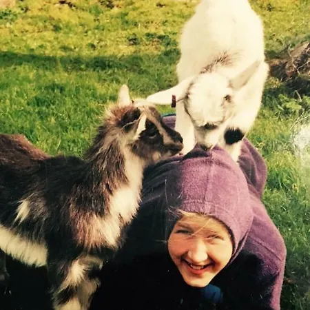 Gospodarstwo agroturystyczne Skjerping Gard Lonevåg