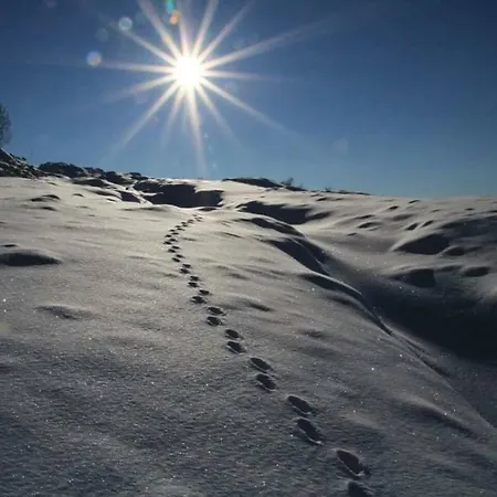 Gospodarstwo agroturystyczne Skjerping Gard