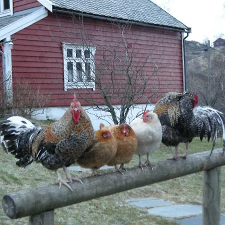 Skjerping Gård