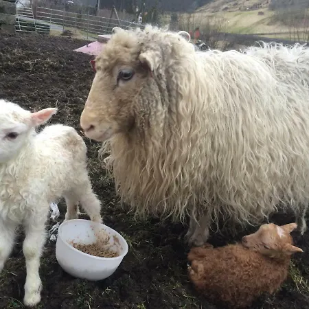 Gospodarstwo agroturystyczne Skjerping Gard