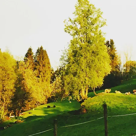 Gospodarstwo agroturystyczne Skjerping Gard Lonevåg