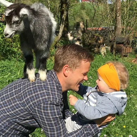 Skjerping Gard Gospodarstwo agroturystyczne